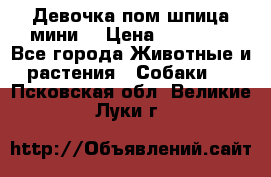 Девочка пом шпица мини  › Цена ­ 30 000 - Все города Животные и растения » Собаки   . Псковская обл.,Великие Луки г.